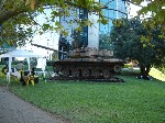 1EVMMRS0032.JPG (248745 bytes)